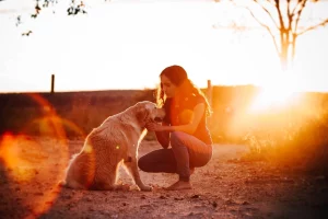 Caring for the environment through pet aftercare