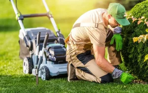 How Can Commercial Property Managers Improve Lawn Health After Construction Work