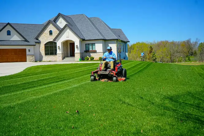 How to Improve Lawn Health